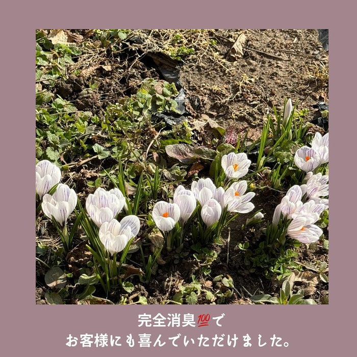 画像350